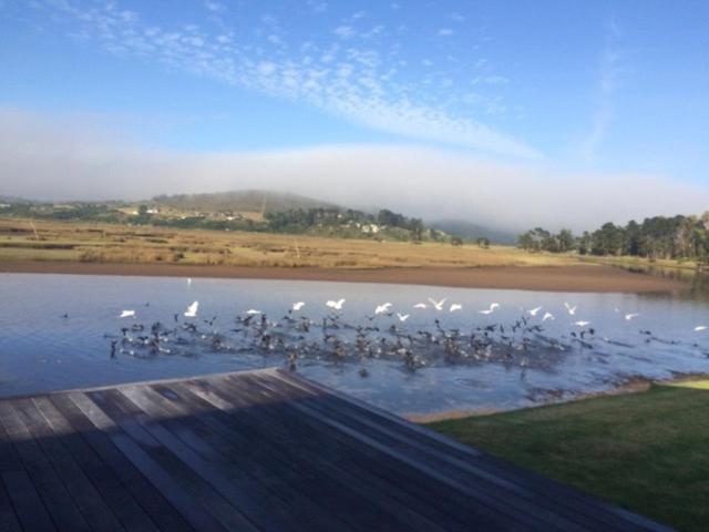 Moonriver Self Catering Plettenberg Bay Bagian luar foto
